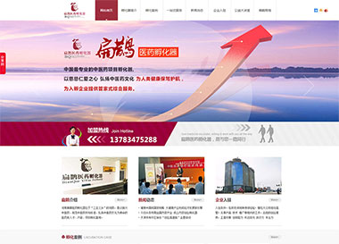 建站案例-河南扁鵲醫(yī)藥孵化器